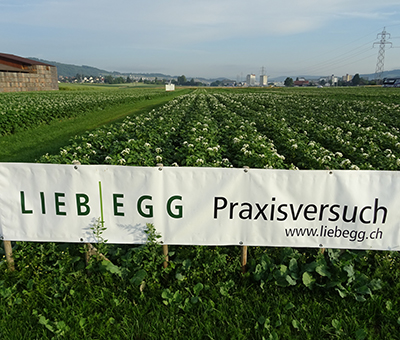 Bild Ackerbautag Newsletter 2017