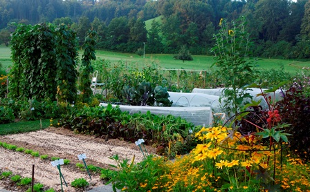 Gartenvielfalt