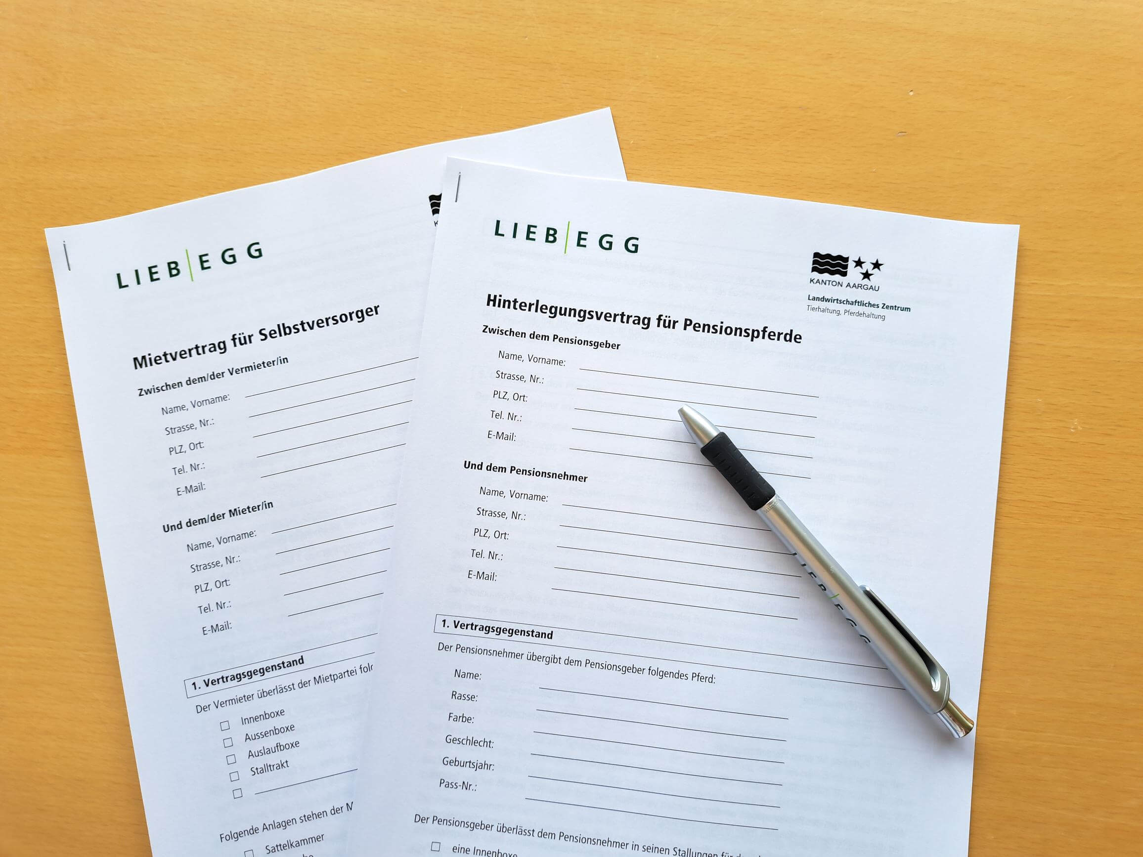 Kurs Rechte und Pflichten im Pferdestall