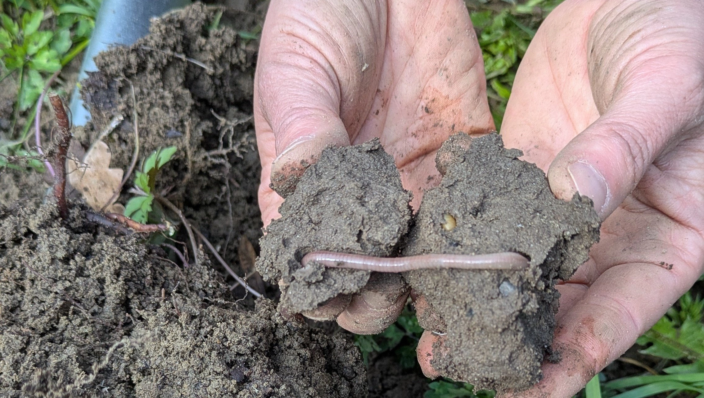 FB 250703 Bodenstruktur beurteilen