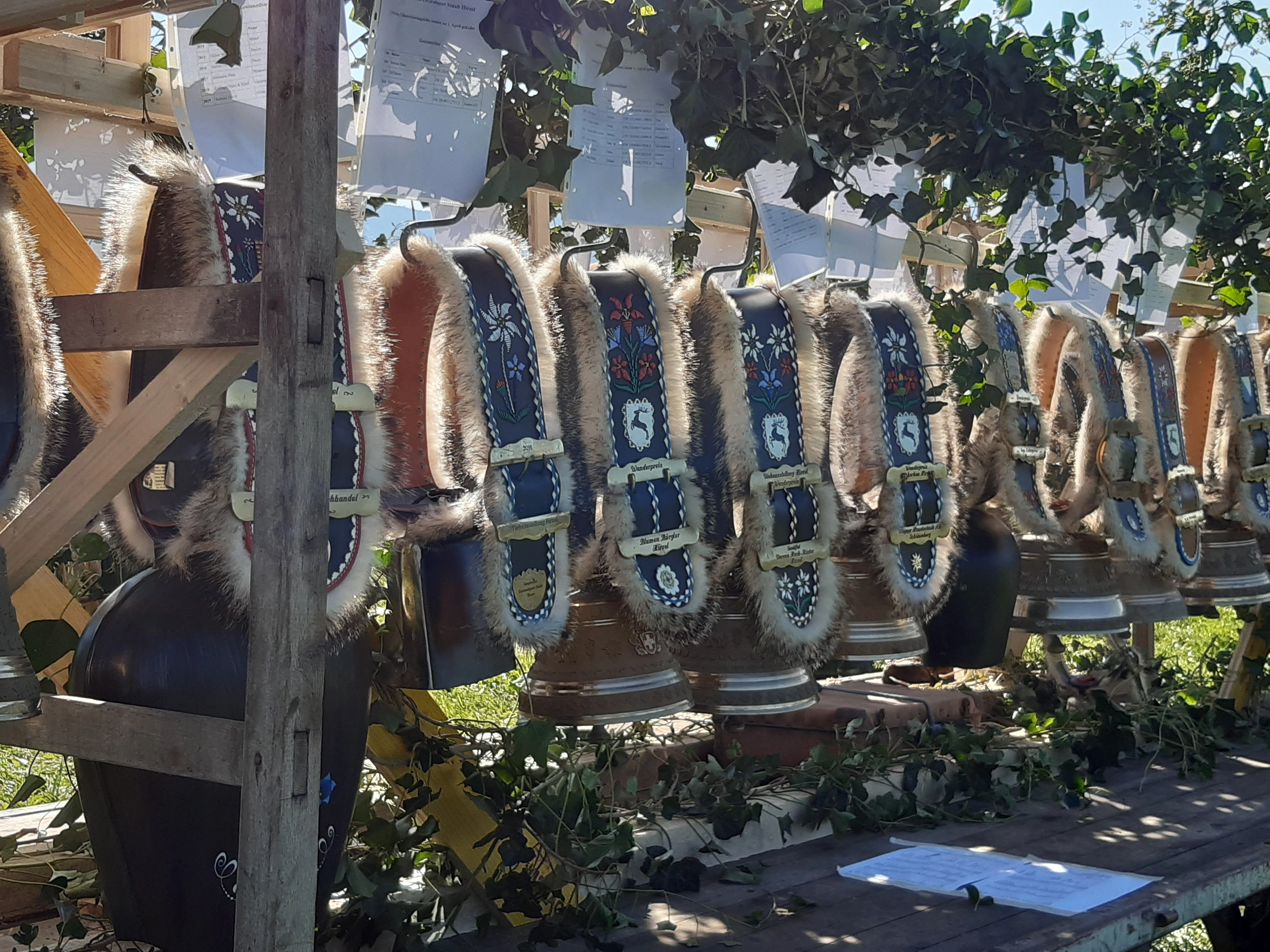 Viehschau Wanderpreise