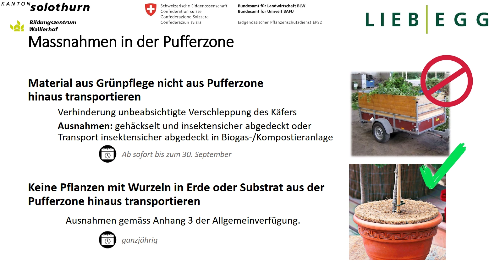 FB 250804 Massnahmen nicht LW Pufferzone Japankäfer FB 250804 Massnahmen nicht LW Pufferzone Japankäfer