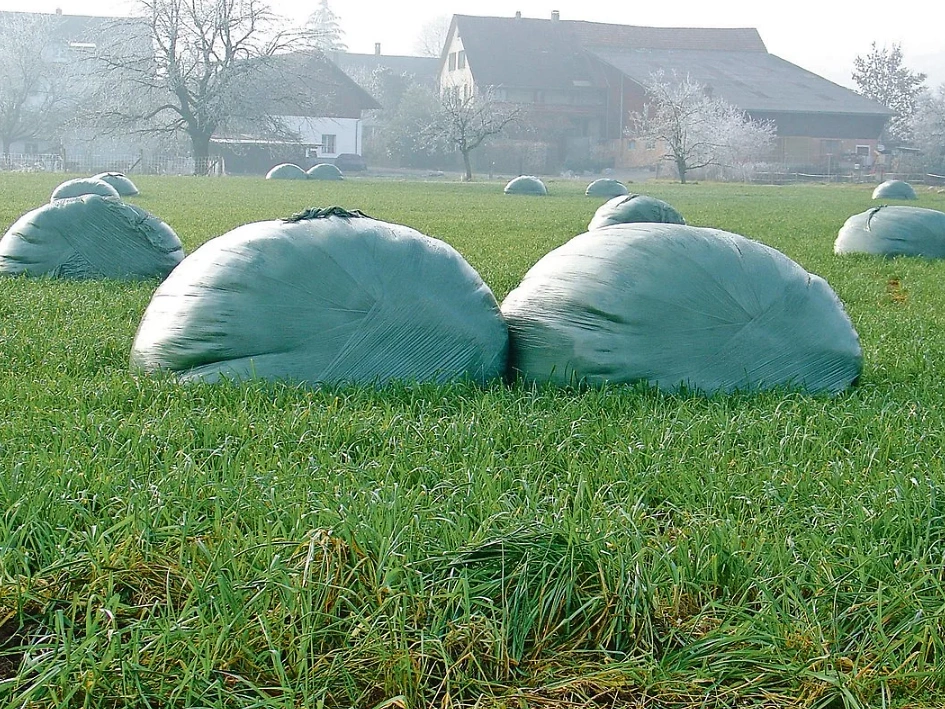 FB 261022 Herbstsilage