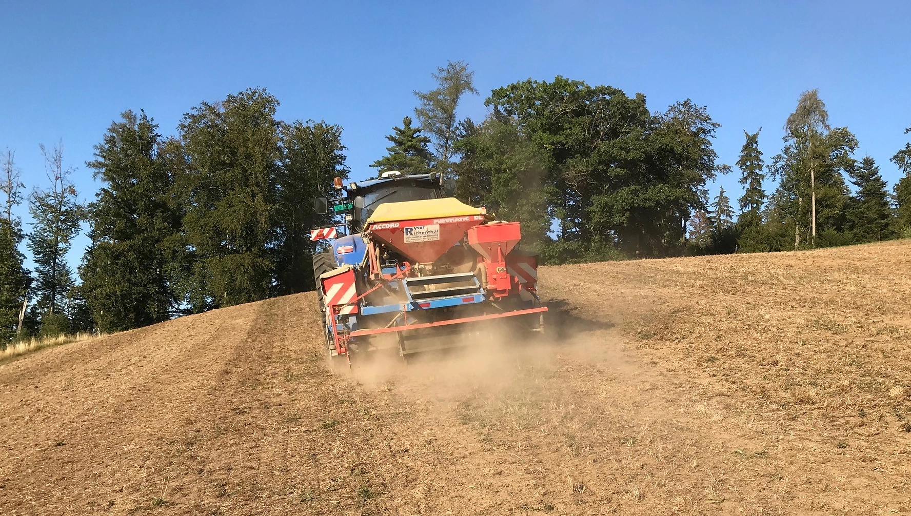 FB 250703 Totalsanierung Wiese