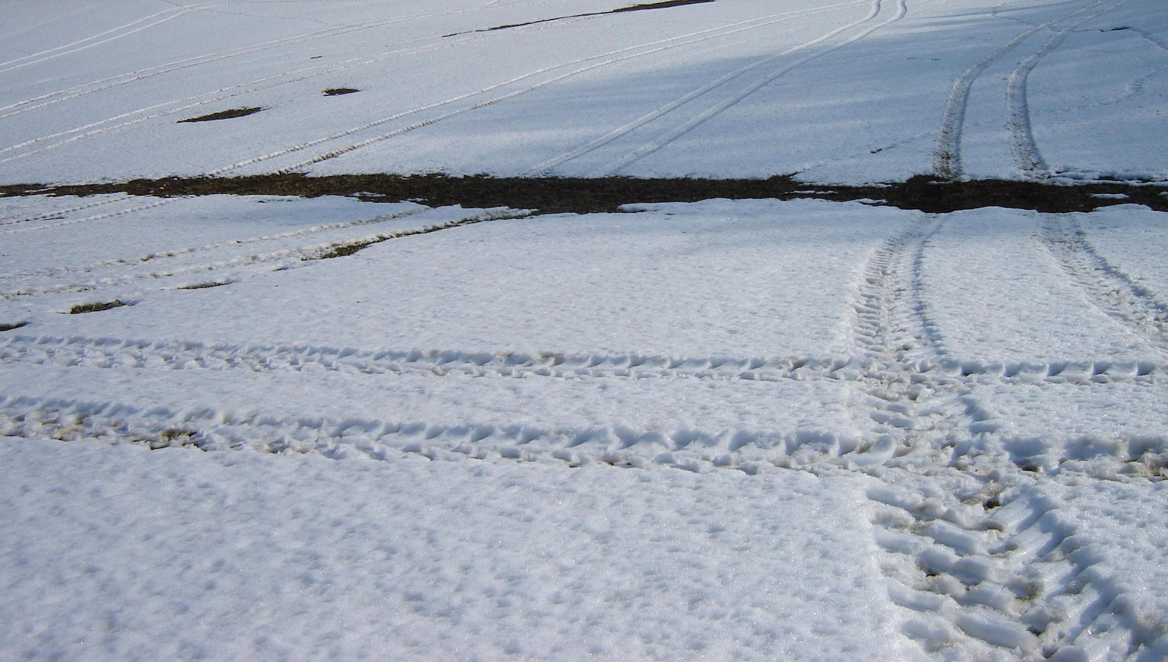 FB 250923 Düngung auf Schnee