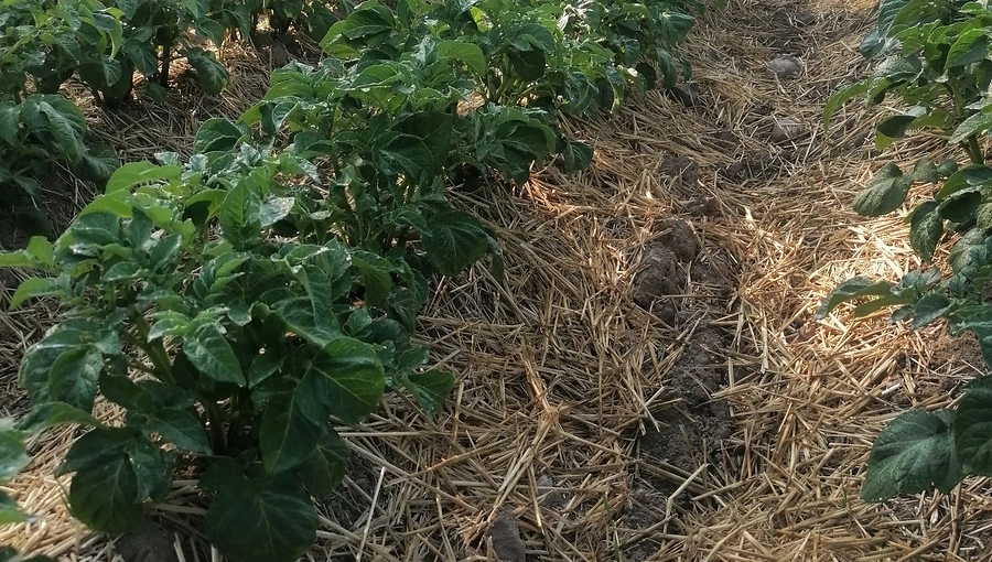 IMG 20230603 083546 V3 (1)