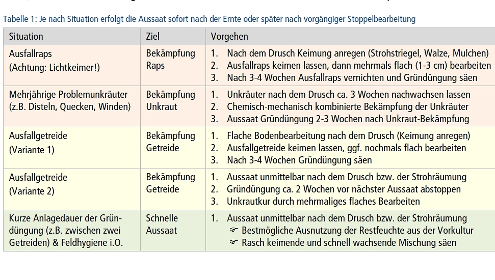 FB 250410 Saatzeitpunkt Gründüngung