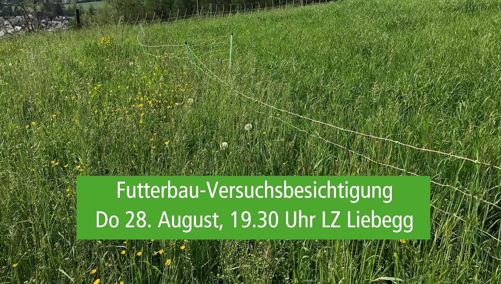 FB 250822 Futterbau Versuchsbesichtigung FB 250822 Futterbau Versuchsbesichtigung