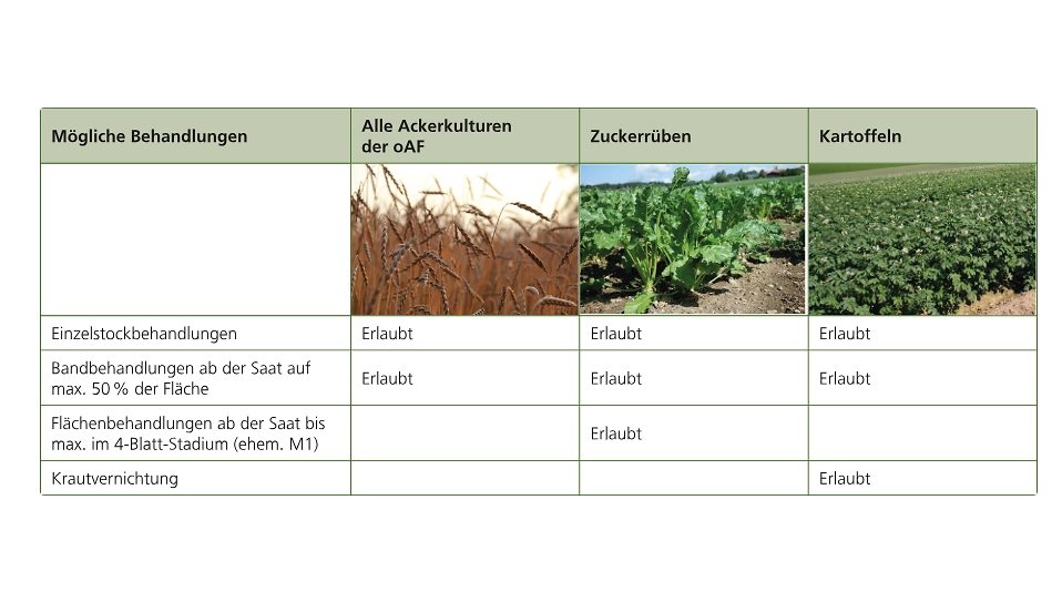 FB 250724 Teilverzicht Herbizidlos PSB FB 250724 Teilverzicht Herbizidlos PSB