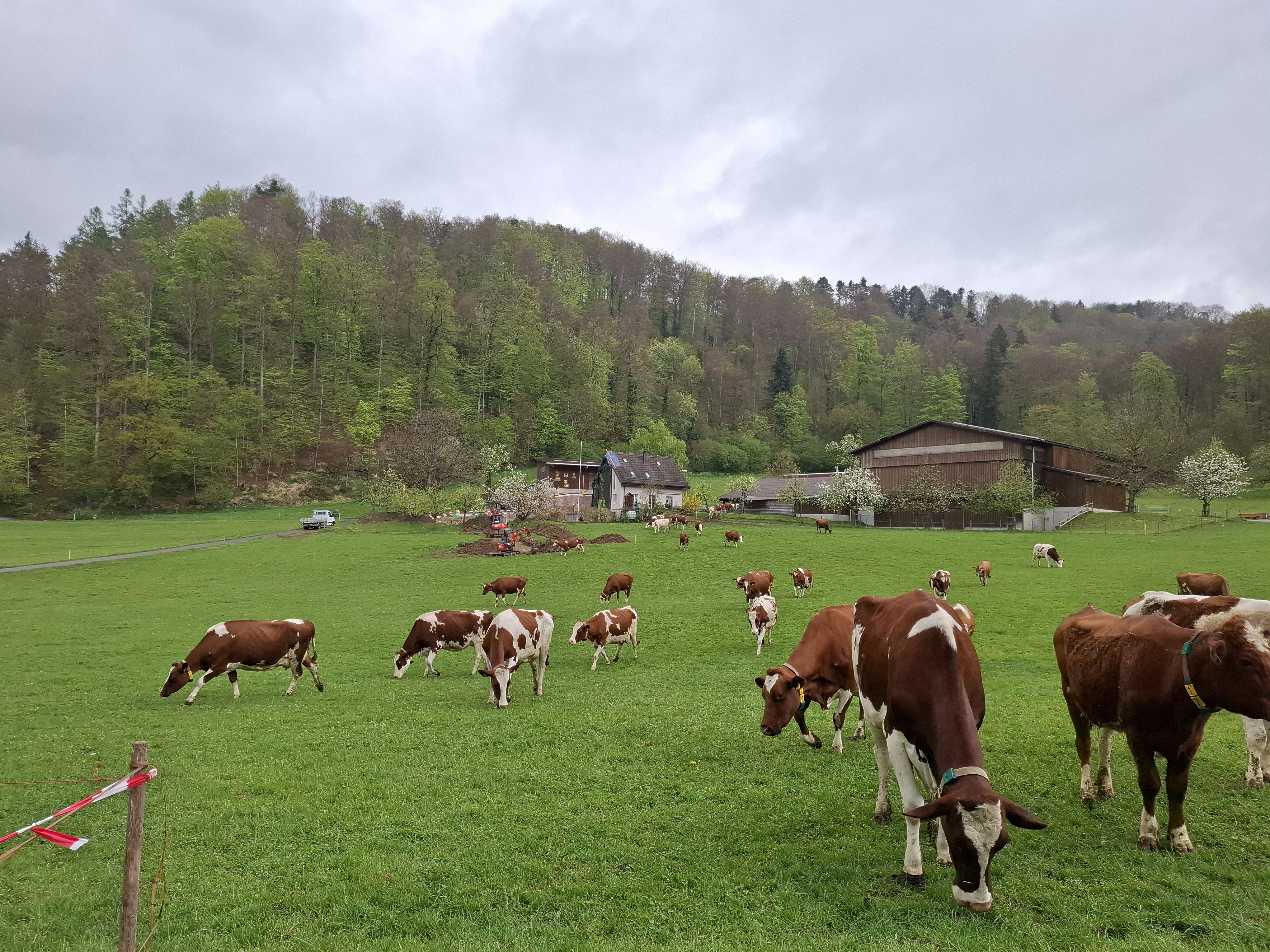 Bio Stallrundgang am 9. April