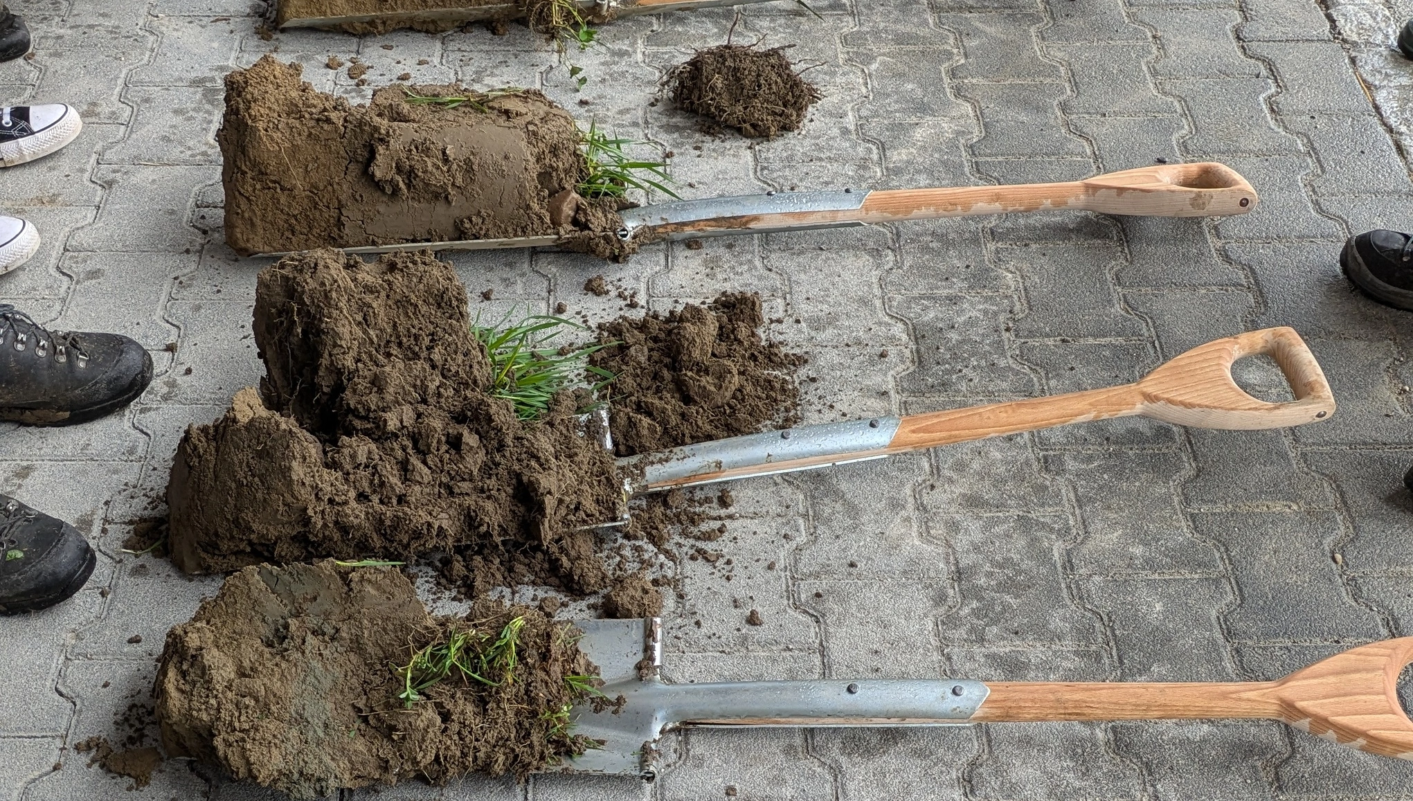 FB 250410 Spatenproben