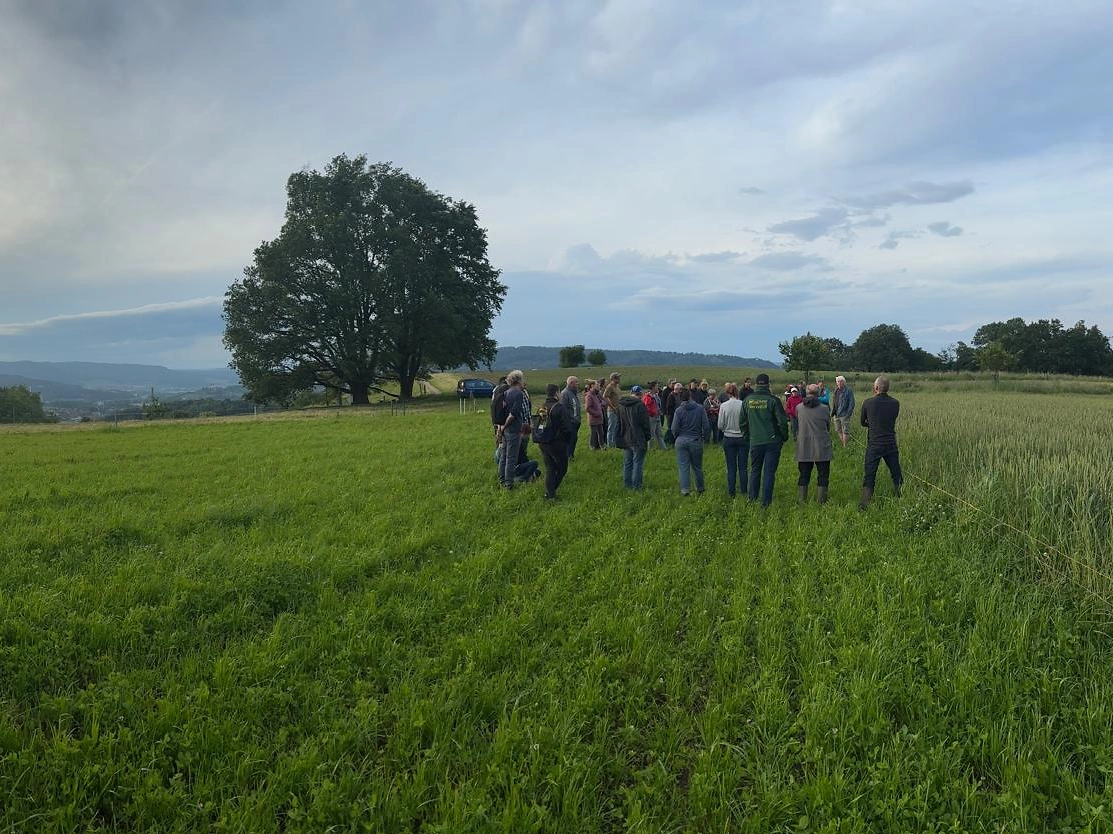 Biofarm Flurgang Lenzburg 2024 Biofarm Flurgang Lenzburg 2024