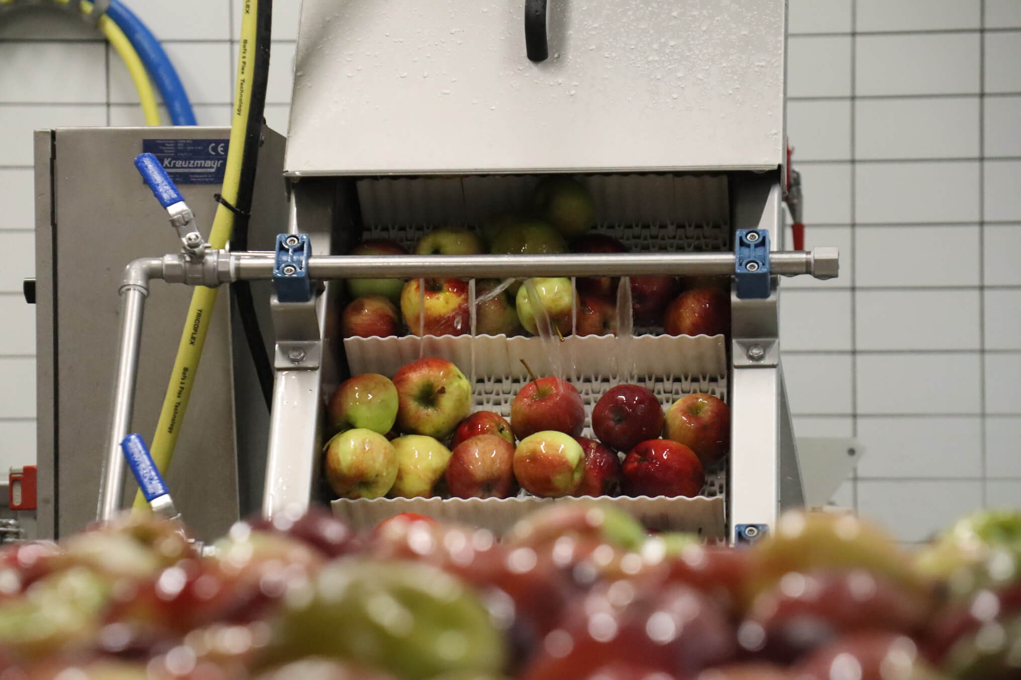 Obstverarbeitung