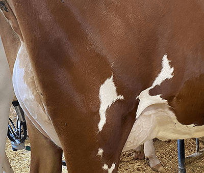 Trockenstellen mit System