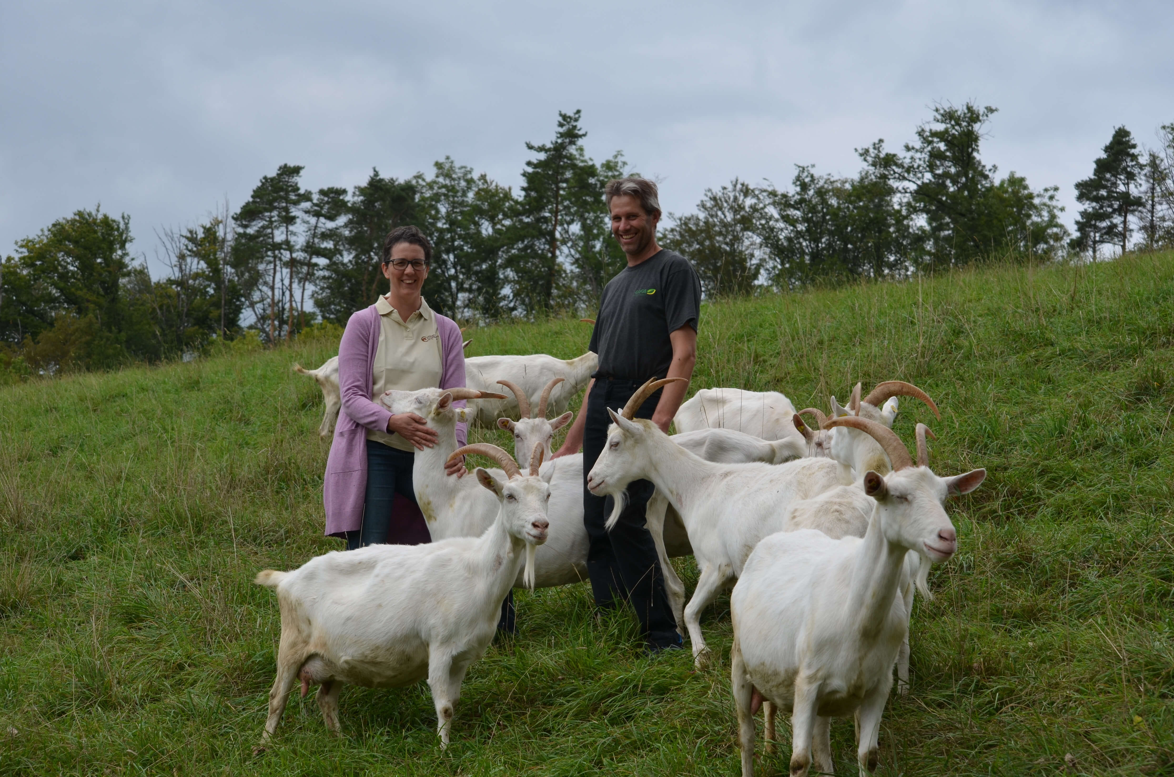 Agroforst: Geh&ouml;lze helfen gegen Hitze und Trockenheit
