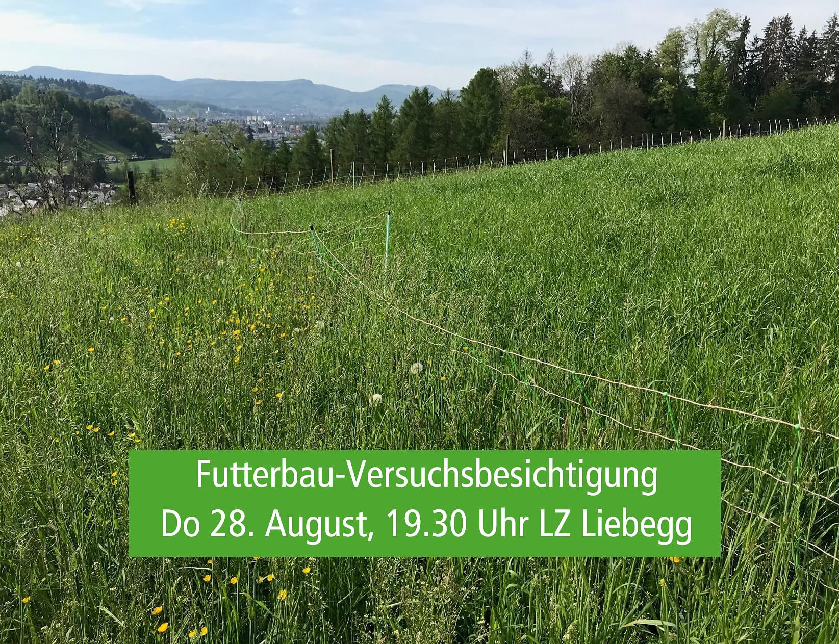 Futterbau-Versuchsbesichtigung 28.8.25