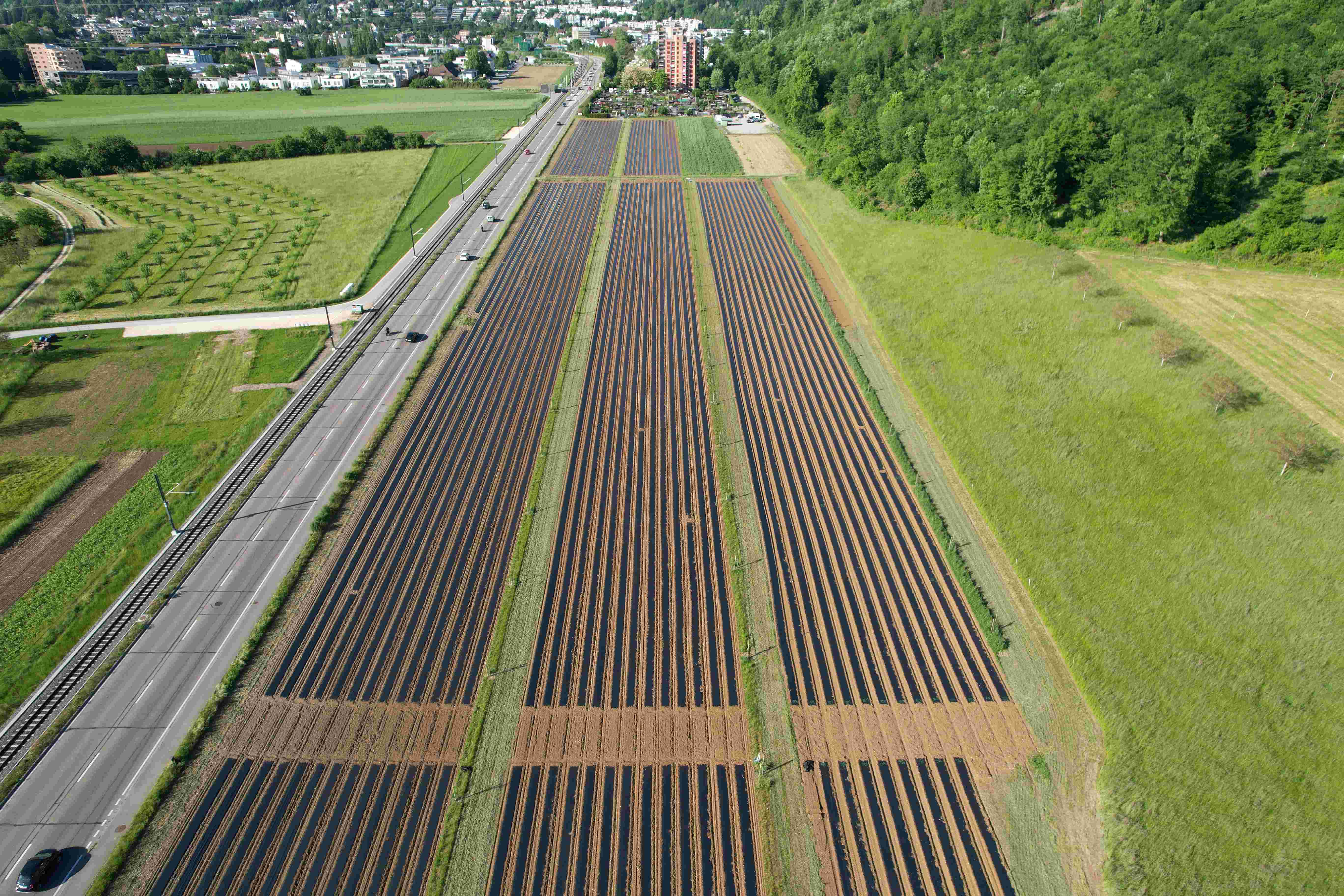 Kompaktkurs Agroforst im Acker- und Gem&uuml;sebau