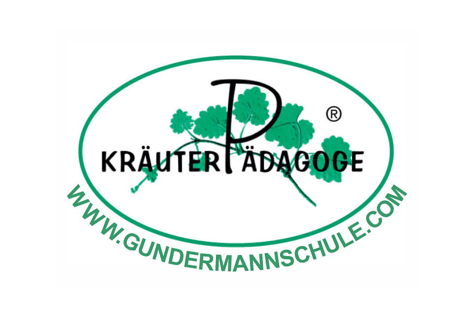 Zertifikatslehrgang zum Kräuterpädagogen