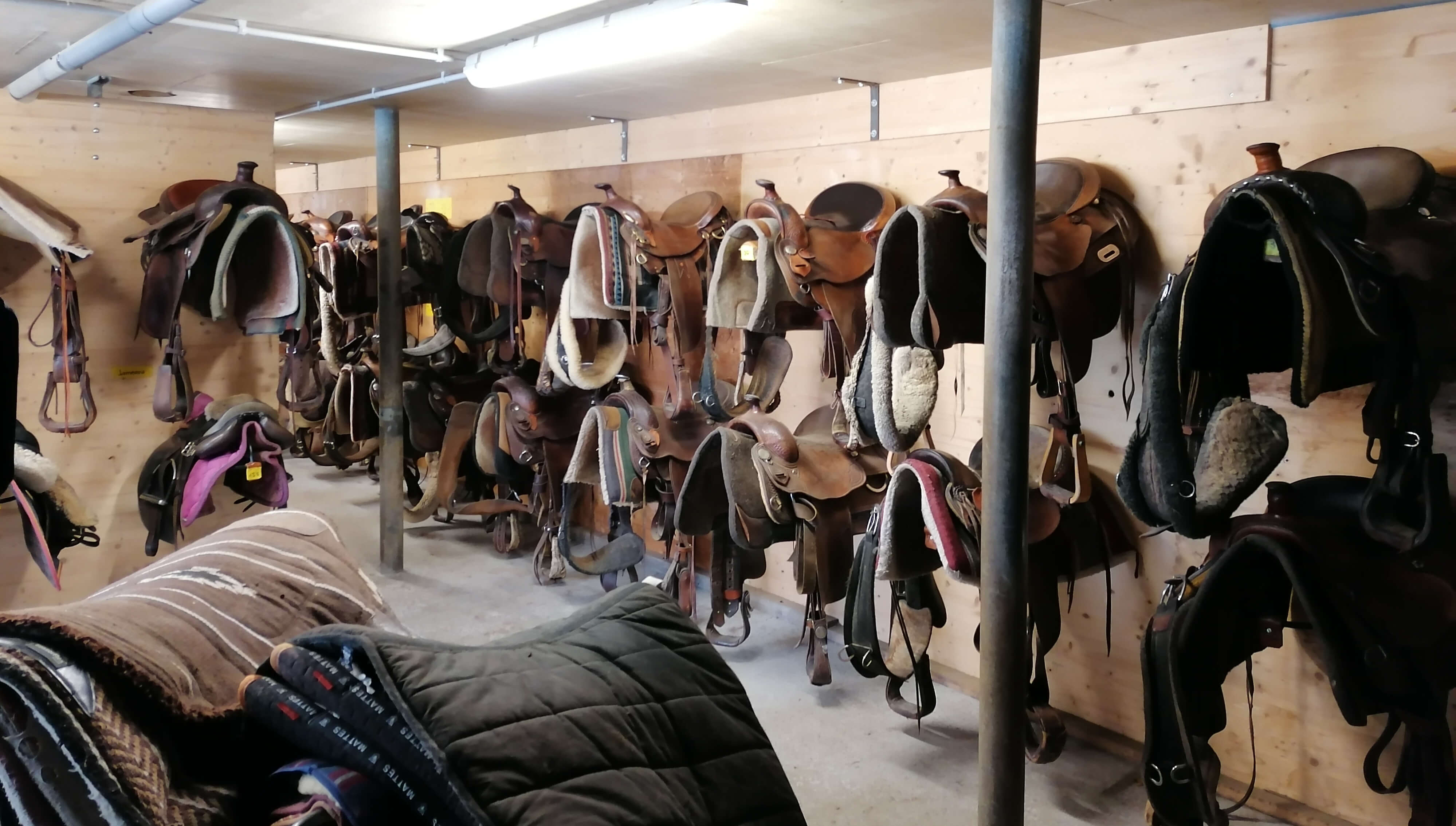 Checkliste f&uuml;r den Stallbesuch