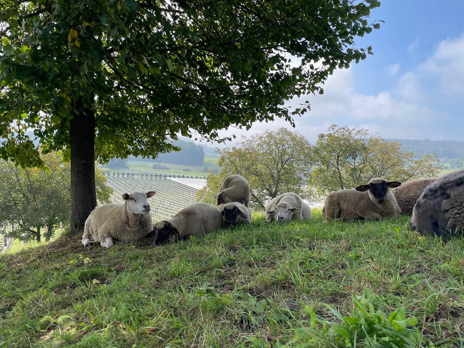 Moderhinke-Sanierung &ndash; wo stehen wir?