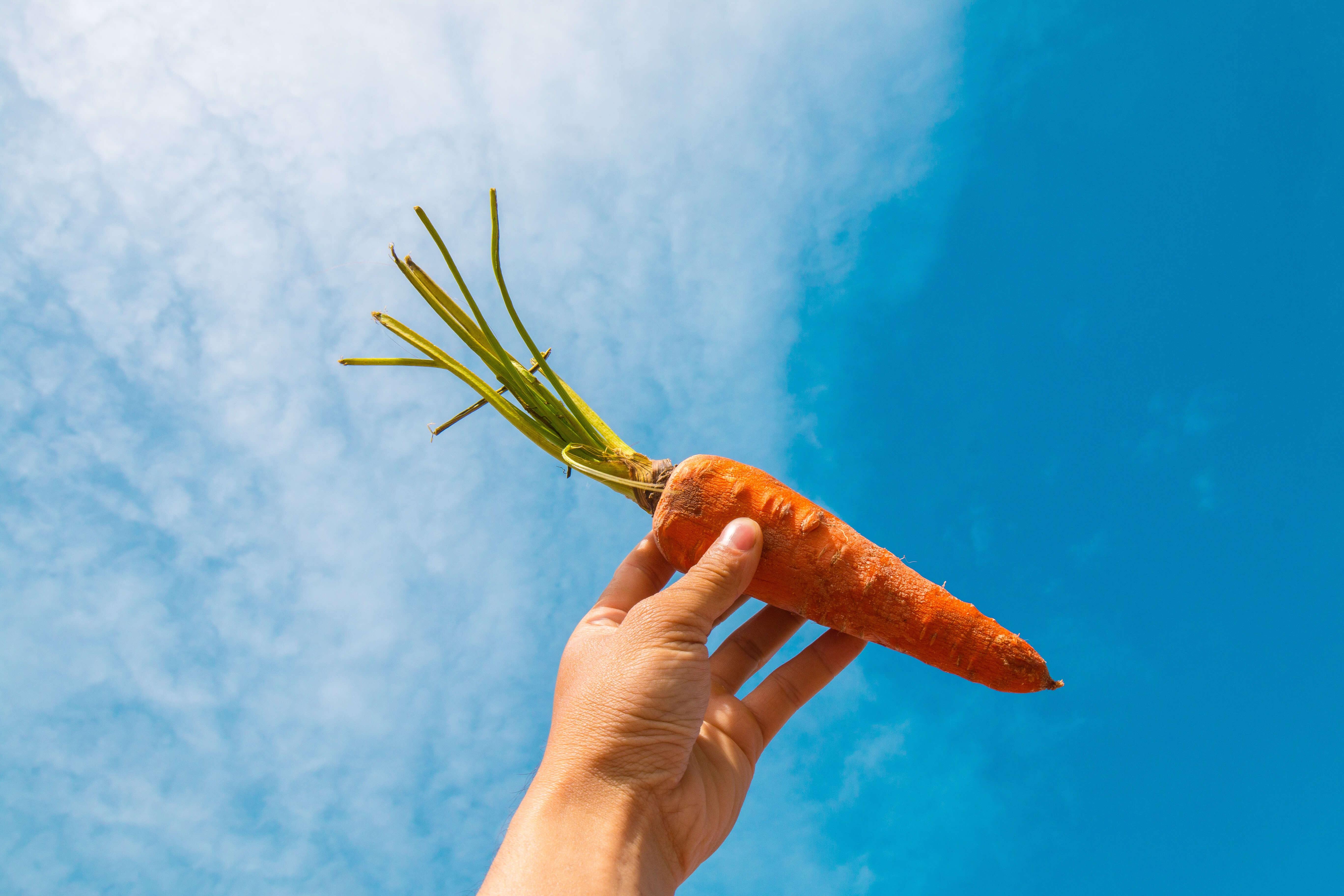 Nachhaltige Ernährung