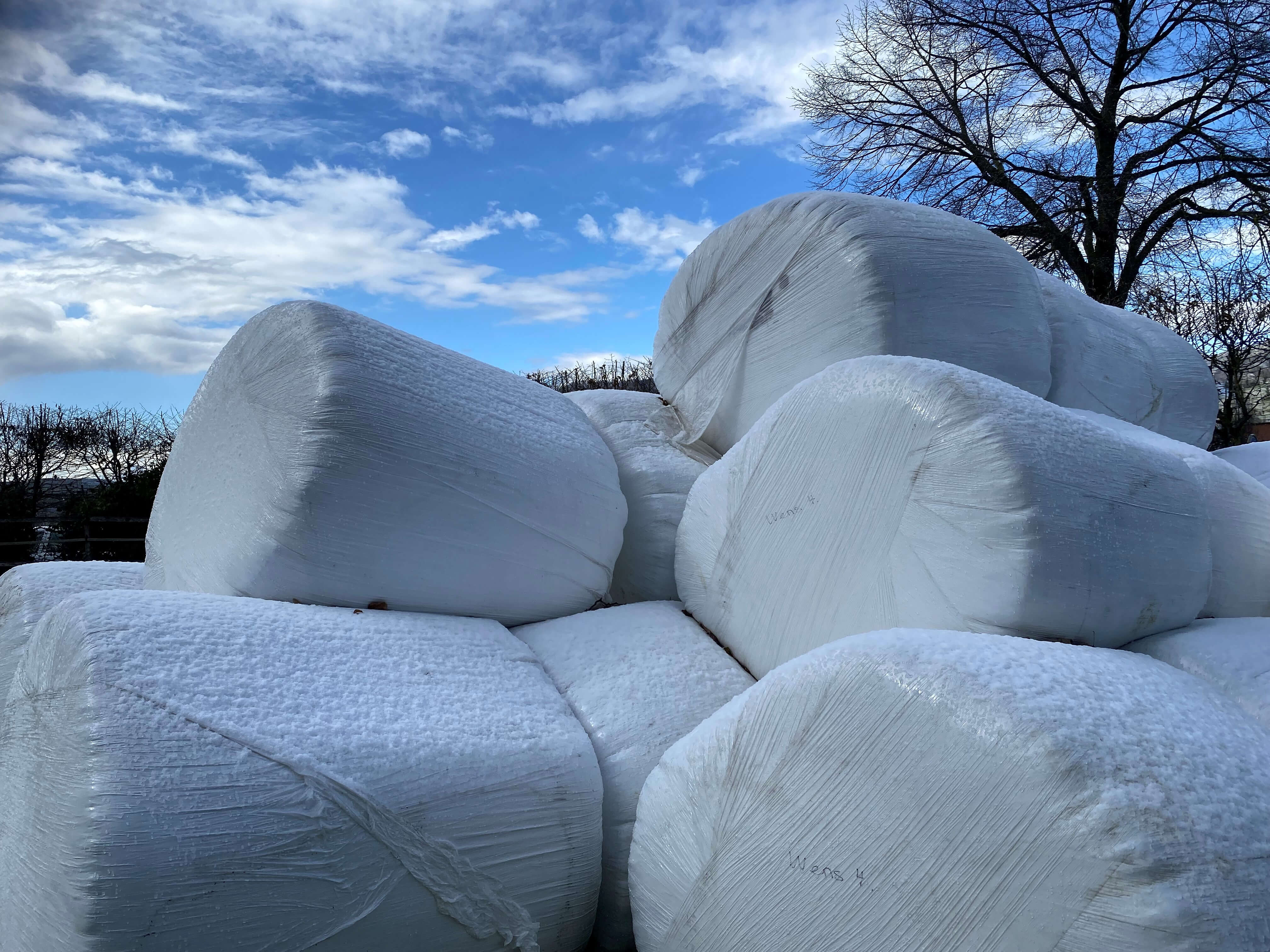 Die goldenen Silierregeln haben Bestand