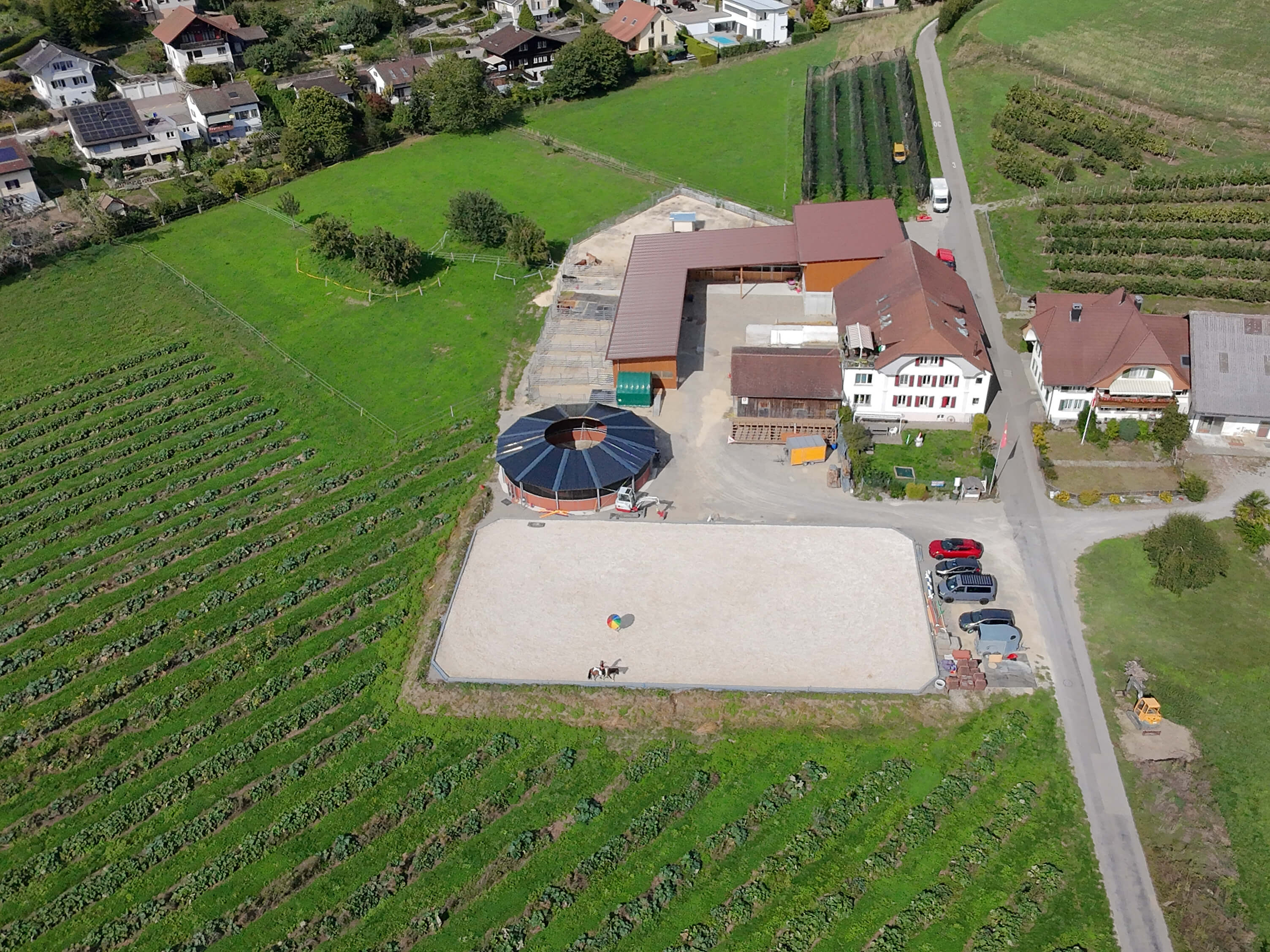 Fieber im Stall &ndash; was nun?